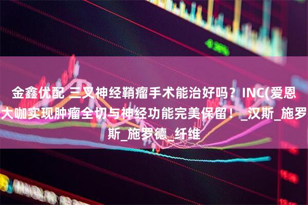 金鑫优配 三叉神经鞘瘤手术能治好吗？INC(爱恩希)脑瘤大咖实现肿瘤全切与神经功能完美保留！_汉斯_施罗德_纤维